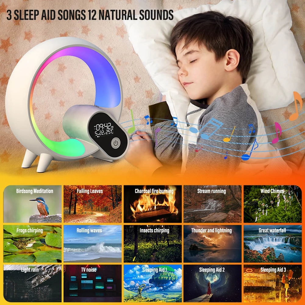 LED Smart Wake Up Night Light BT Speaker APP Remote Control Simulation Sunrise Alarm Clock White Noise Bedside Companion Sleep
